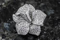 CARESSE D'ORCHIDÉES par Cartier Ear Pendants | Platinum | Diamond Pavé photo 13