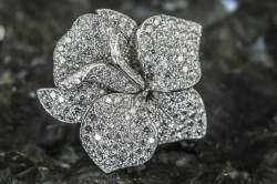 CARESSE D'ORCHIDÉES par Cartier Ear Pendants | Platinum | Diamond Pavé photo 2