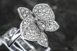 CARESSE D'ORCHIDÉES par Cartier Ring | Whitegold | Diamond Pavé photo 2
